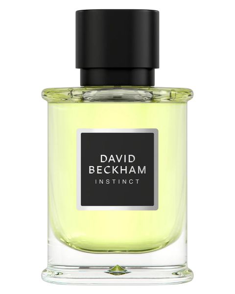 David Beckham Instinct EDP