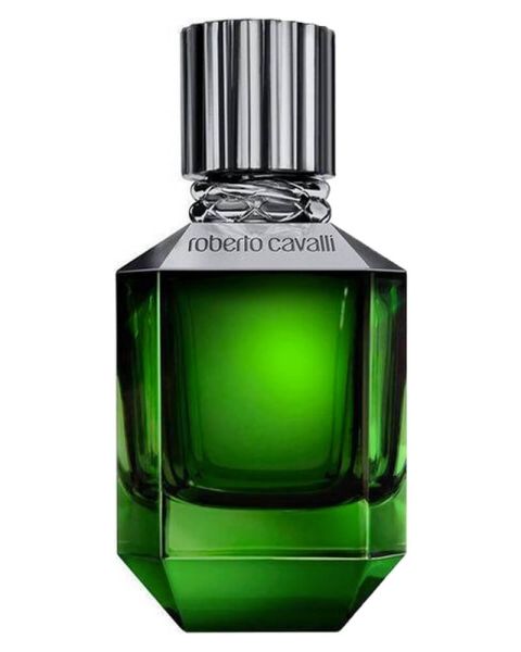 Roberto Cavalli Paradiso Found for Men EDT